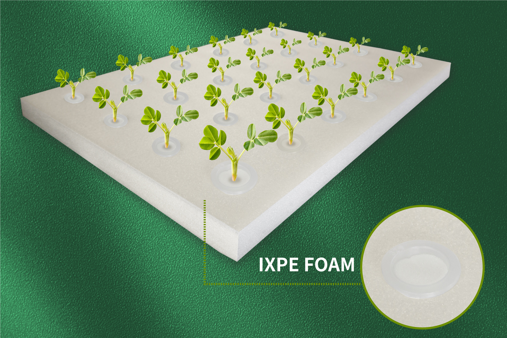 Application?of?IXPE?Foam?in?Floating?Planting?Boards 